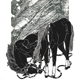 "Боевой Конь"