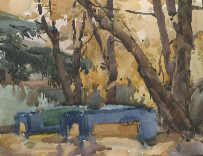 сокольники