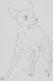 Русский той