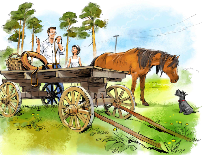 иллюстрация к книге