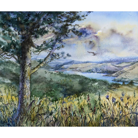 Вид со скал