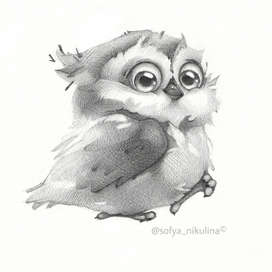 Скетч сова