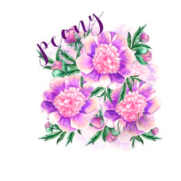 Пионы. Принт.