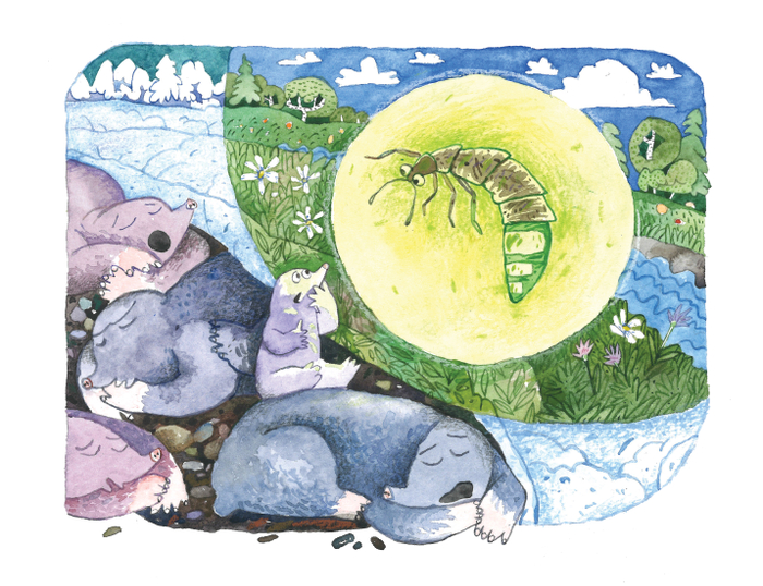 Маленький Мак и зелёное солнце