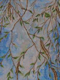 Березкины сережки