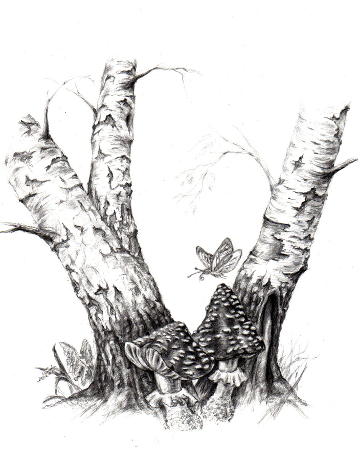 Два мухомора