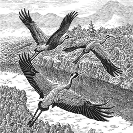 Over the border river.