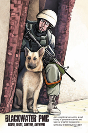 Private Military Company