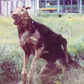 Ангел комфорта