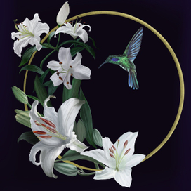 Колибри и лилии