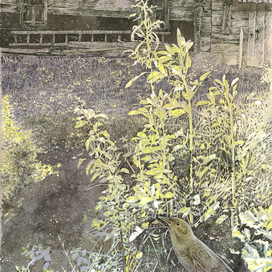 Солнце расплескалось