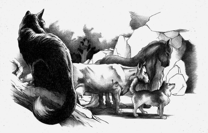 КОШКА... Дикие твари из дикого леса