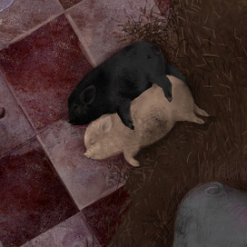 Золушка\ фрагмент