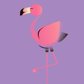 Фламинго
