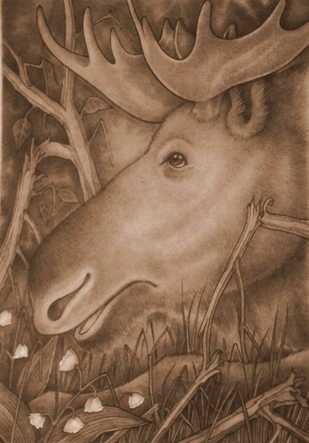 Просто лось