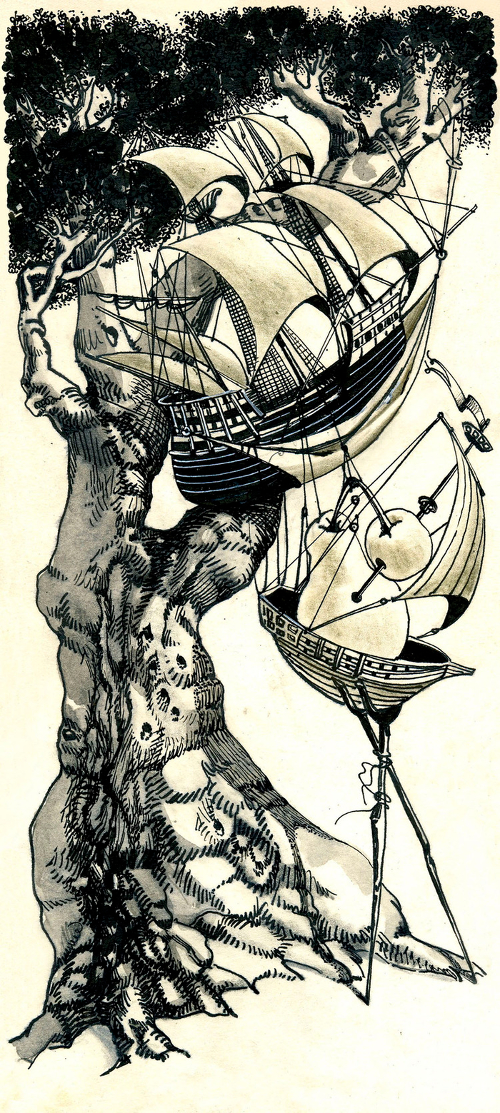 Без названия 7