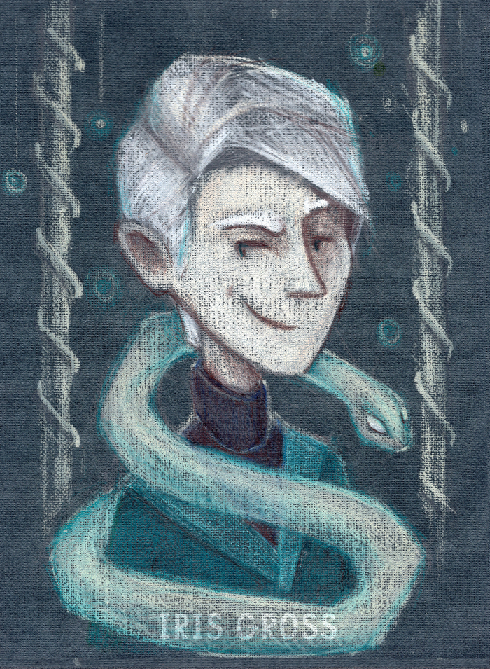 Серия иллюстраций по вселенной Гарри Поттера