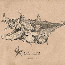 Loricatus II