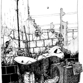 Декадентский енот