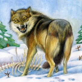  "Волк - зубами щёлк".