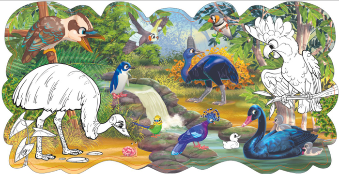 Птицы Австралии