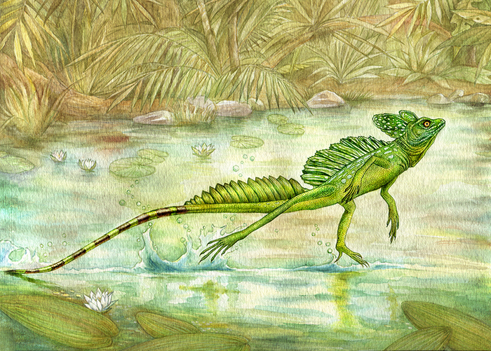 Василиск Прокофий