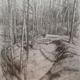 нахабино, в парке