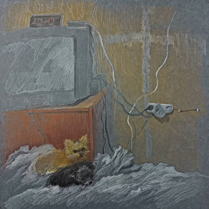 Дачная жизнь 