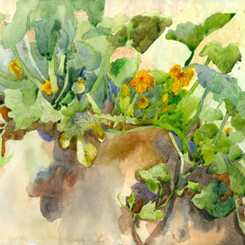 На грядке. Рождение тыквы)