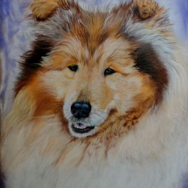 Колли рыжий