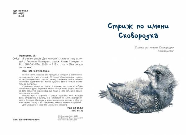 Стриж Сковородка