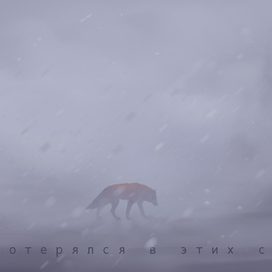 История одного волка [1]