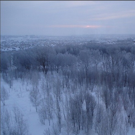 Ноксинский Лес Восток