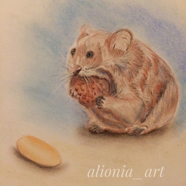 Хомячок за обедом