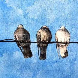 Голуби на проводе