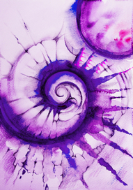 "Космическая ракушка"