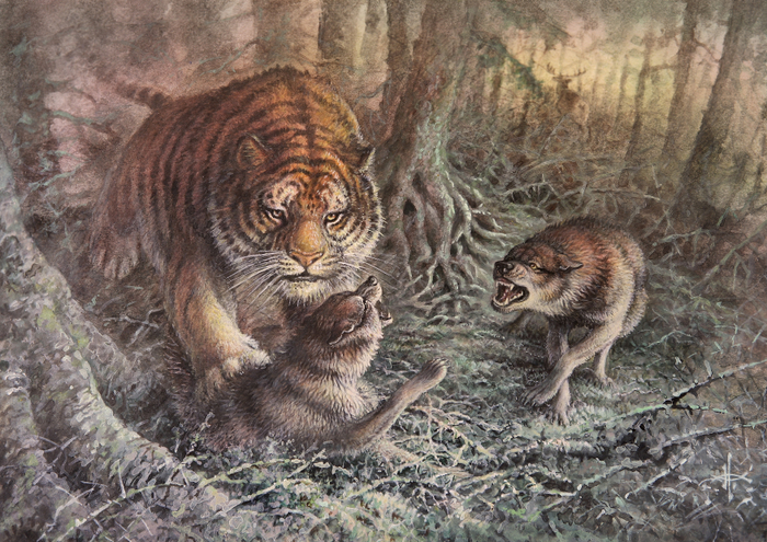 Амба. Кошки не любят собак.