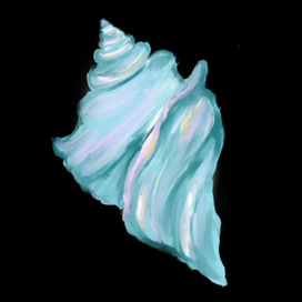 Ракушка 