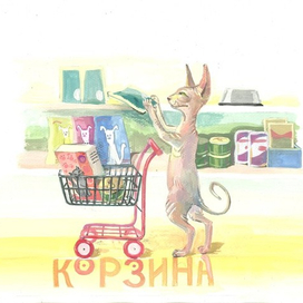 для интернет магазина