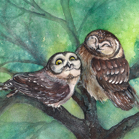 Совушкины шутки