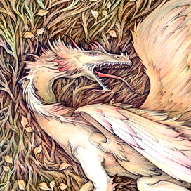 Дракон из королевенства.