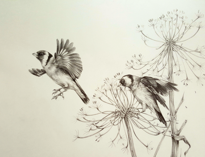 Щеглы. Фрагмент 