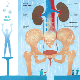 Ольга Епифанова «Детям про тело» 2018 г.