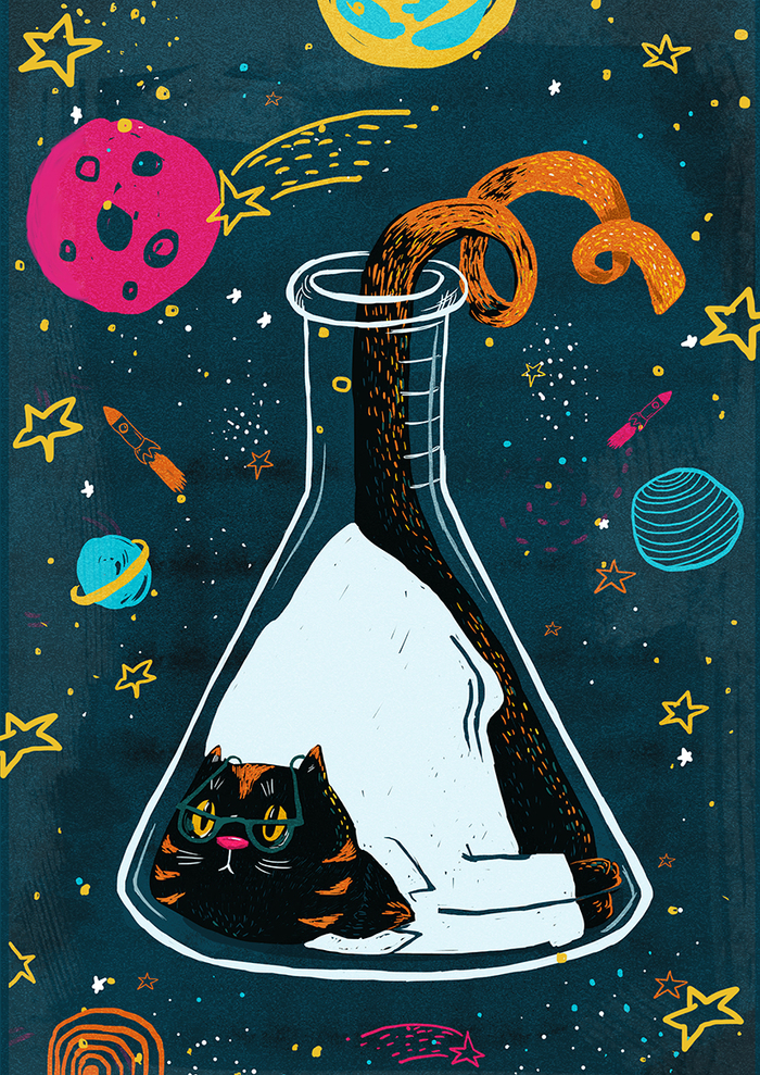 Кот Шрёдингера