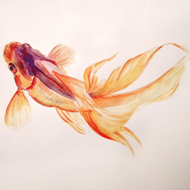 Золотая рыбка