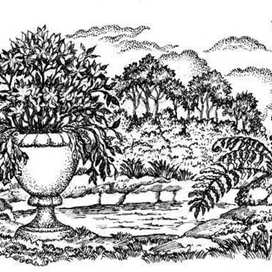 А. ФЕТ. стихотворения.