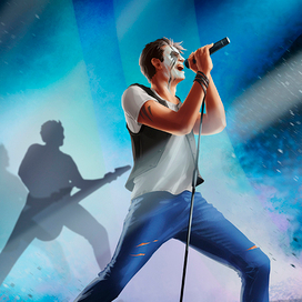 Я твоя тень