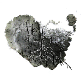 Лес горит, дым окутывает