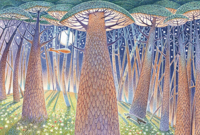 Ночной лес.