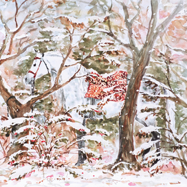 Первый снег